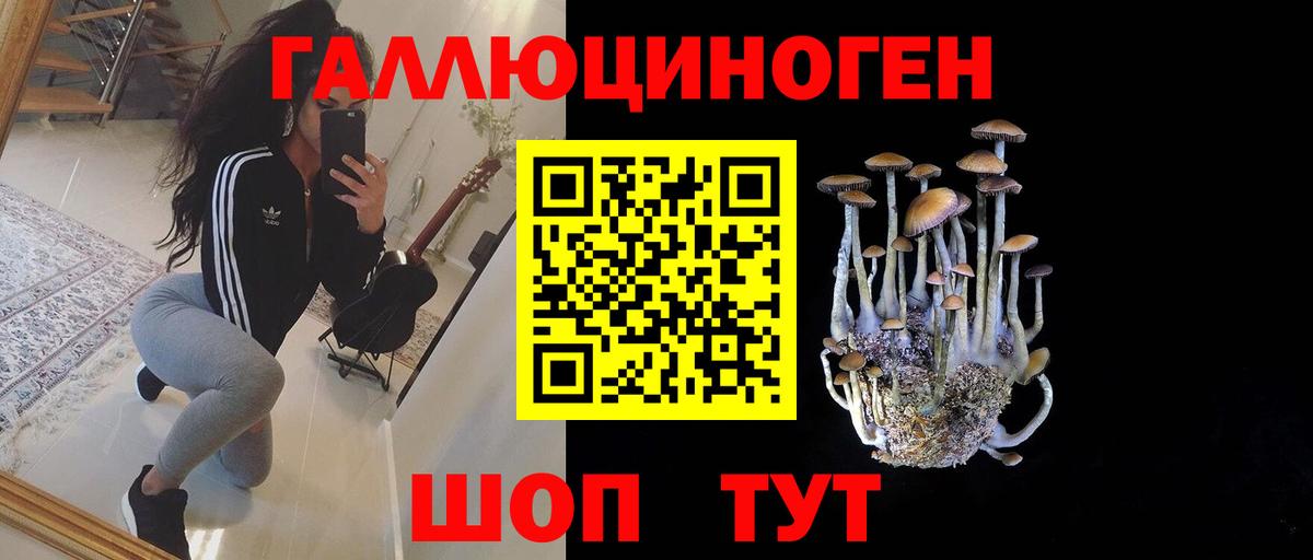 Галлюциногенные грибы мухоморы Жигулёвск
